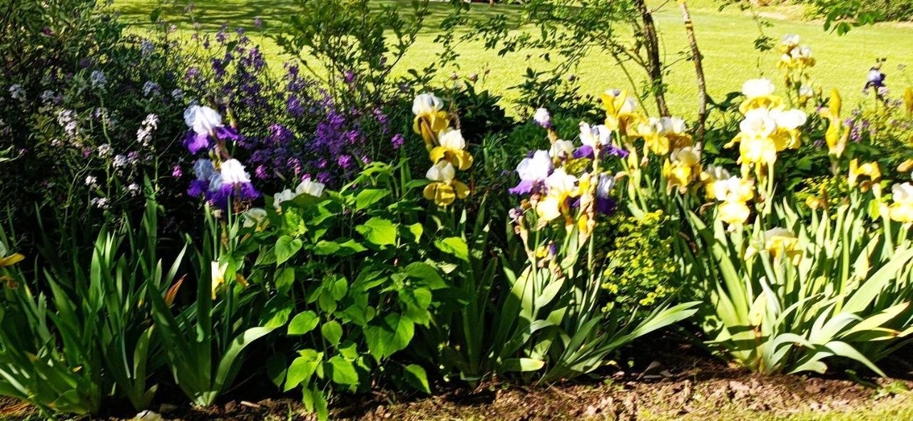 Chambre D'Hotes Au Jardin De La Bachellerie Zewnętrze zdjęcie