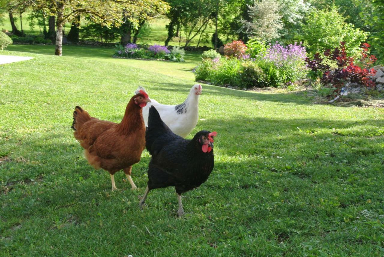 Chambre D'Hotes Au Jardin De La Bachellerie Zewnętrze zdjęcie